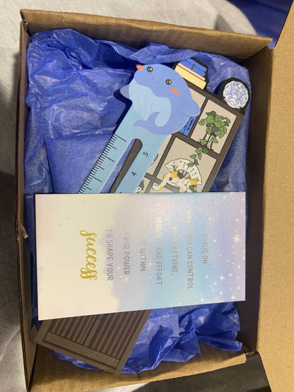 Made with ❤️ : 2 Deluxe boxes and 4 mystery bags